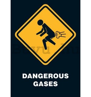 Plakát - Dangerous Gases