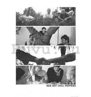 Plakát - Red Hot Chili Peppers (Tour Plakát)