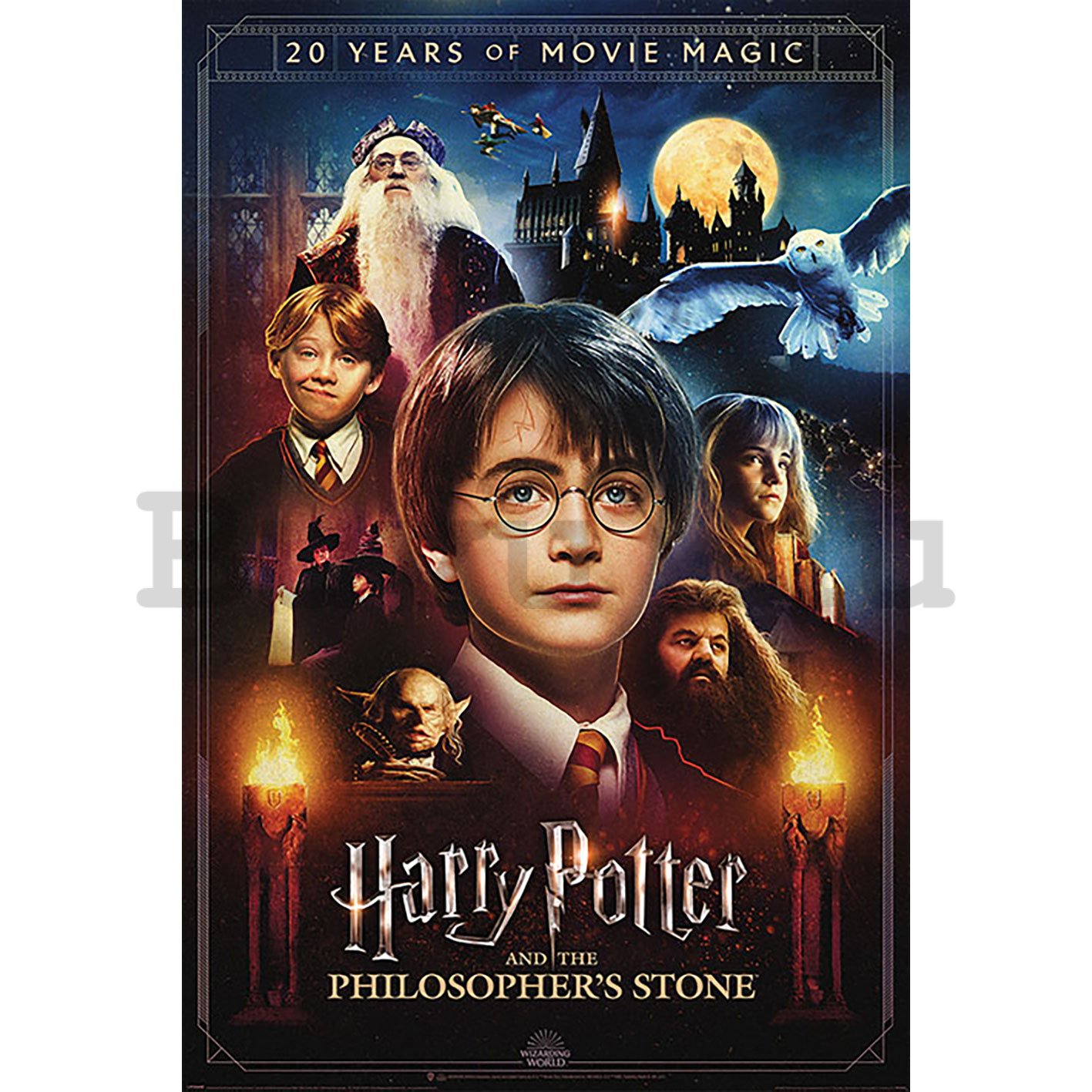 Poster - Harry Potter (20 Years of Movie Magic)