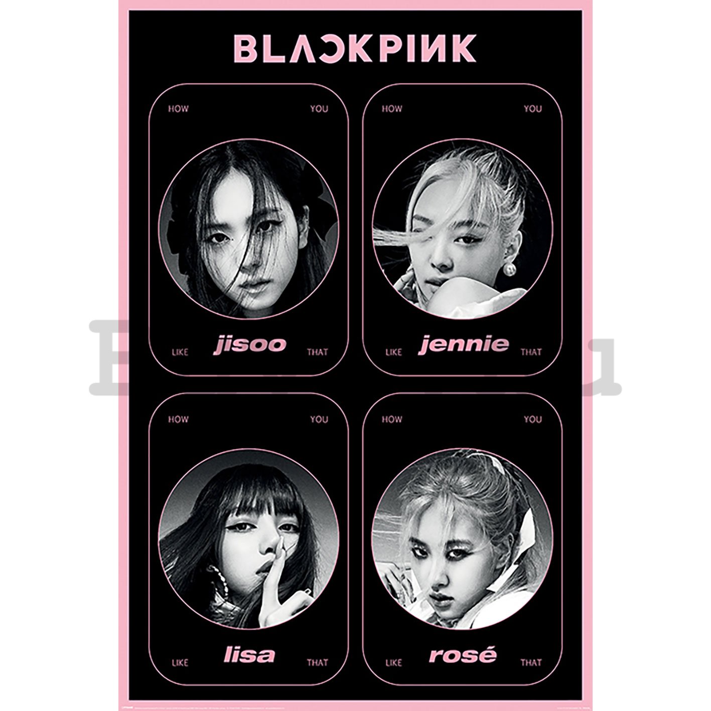 Poster - Black pink (How you like that)