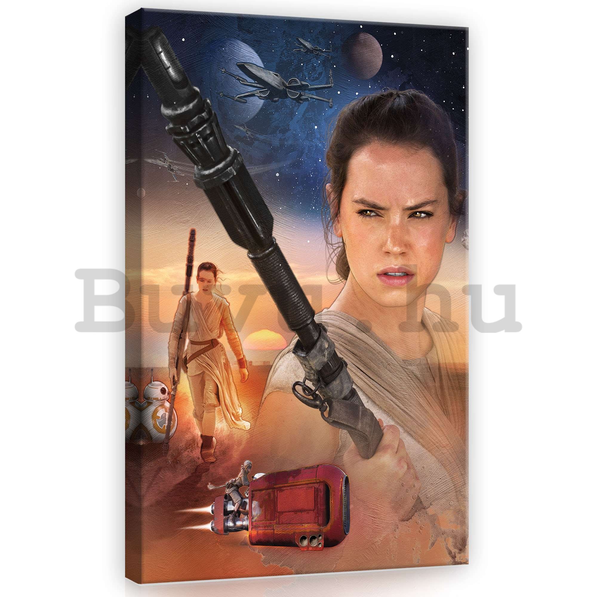 Vászonkép: Star Wars, Rey - 40x60 cm