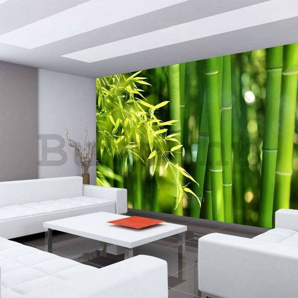 Vlies fotótapéta: Zöld bambusz - 400x280 cm
