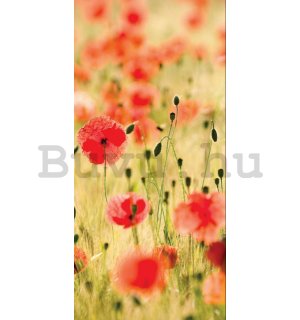 Vlies fotótapéta: Virágzó rét - 100x211 cm