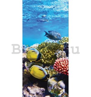 Vlies fotótapéta: korallzátonyok - 100x211 cm