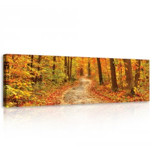 Vászonkép: Őszi színek (erdő) - 145x45 cm