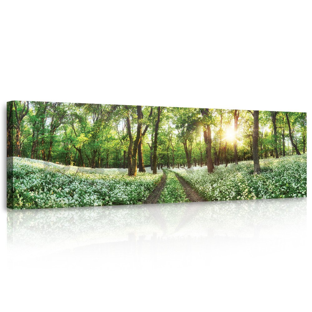 Vászonkép: Virágzó erdei ösvény - 145x45 cm