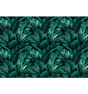 Vlies fotótapéta: Trópusi levelek - 254x184 cm