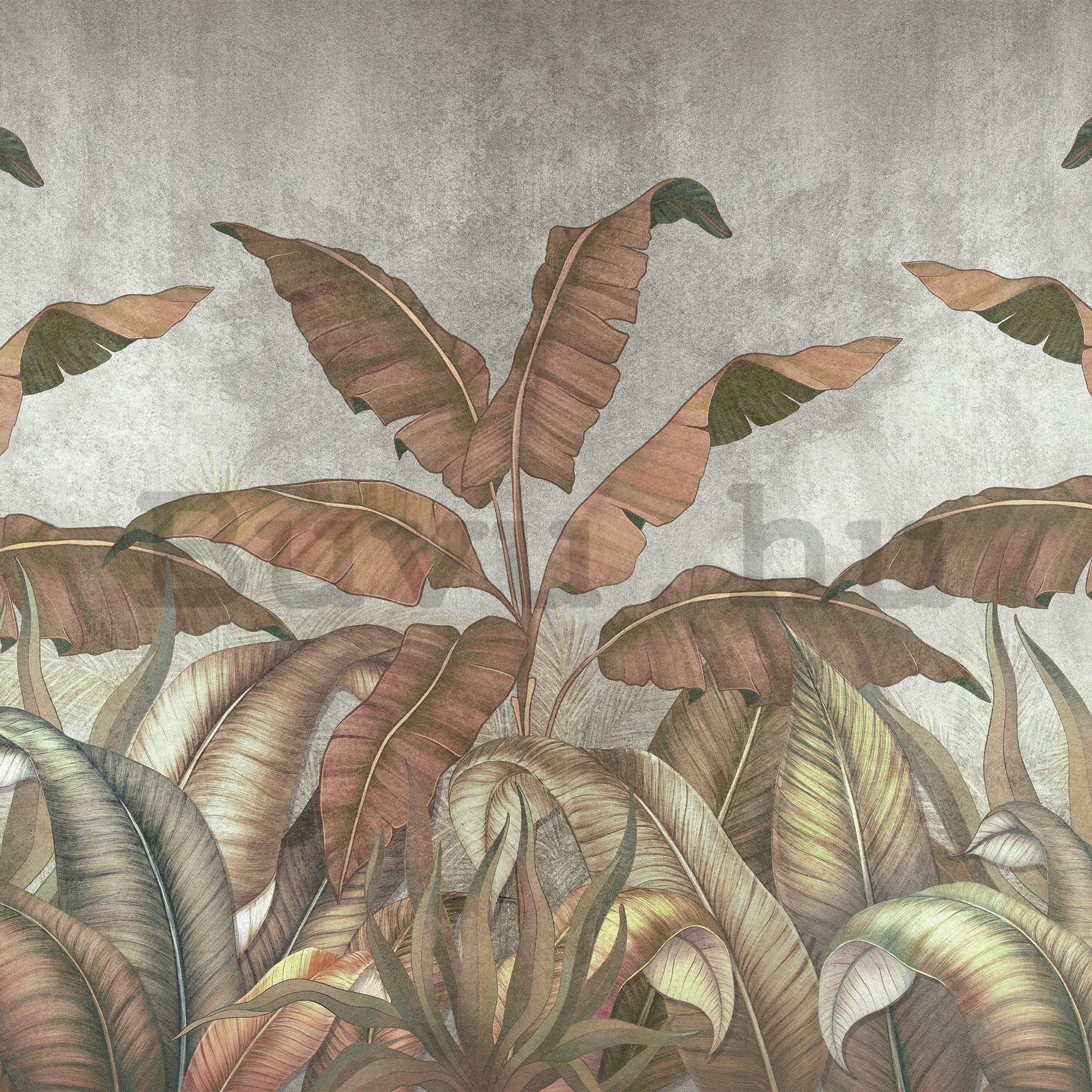 Vlies fotótapéta: Természetes levelek utánzata - 254x184 cm