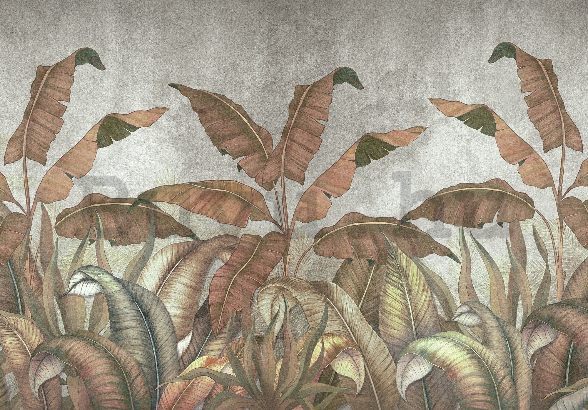 Vlies fotótapéta: Természetes levelek utánzata - 254x184 cm