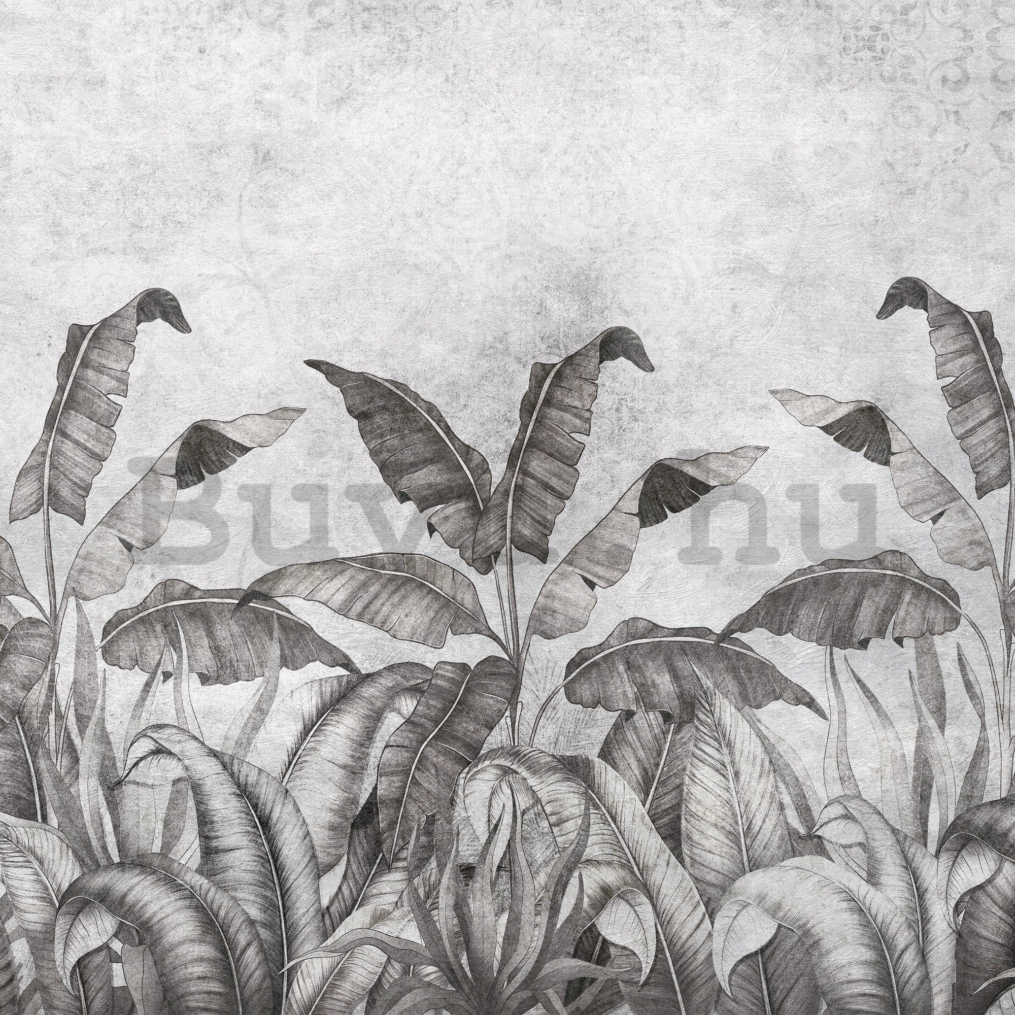 Vlies fotótapéta: Természetes levelek fekete-fehér utánzata (2) - 254x184 cm