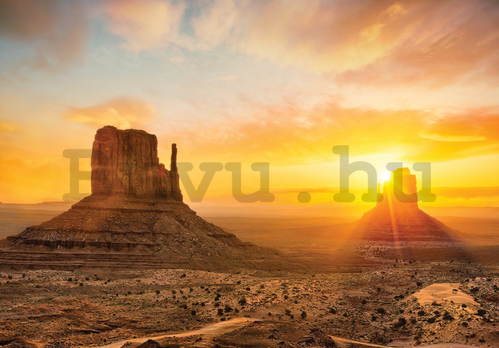 Vlies fotótapéta: Arizonai sivatag - 254x184 cm
