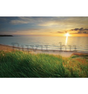 Vlies fotótapéta: Strand naplementében - 254x184 cm