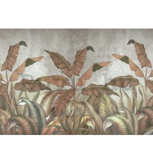 Vlies fotótapéta: Természetes levelek utánzata - 368x254 cm