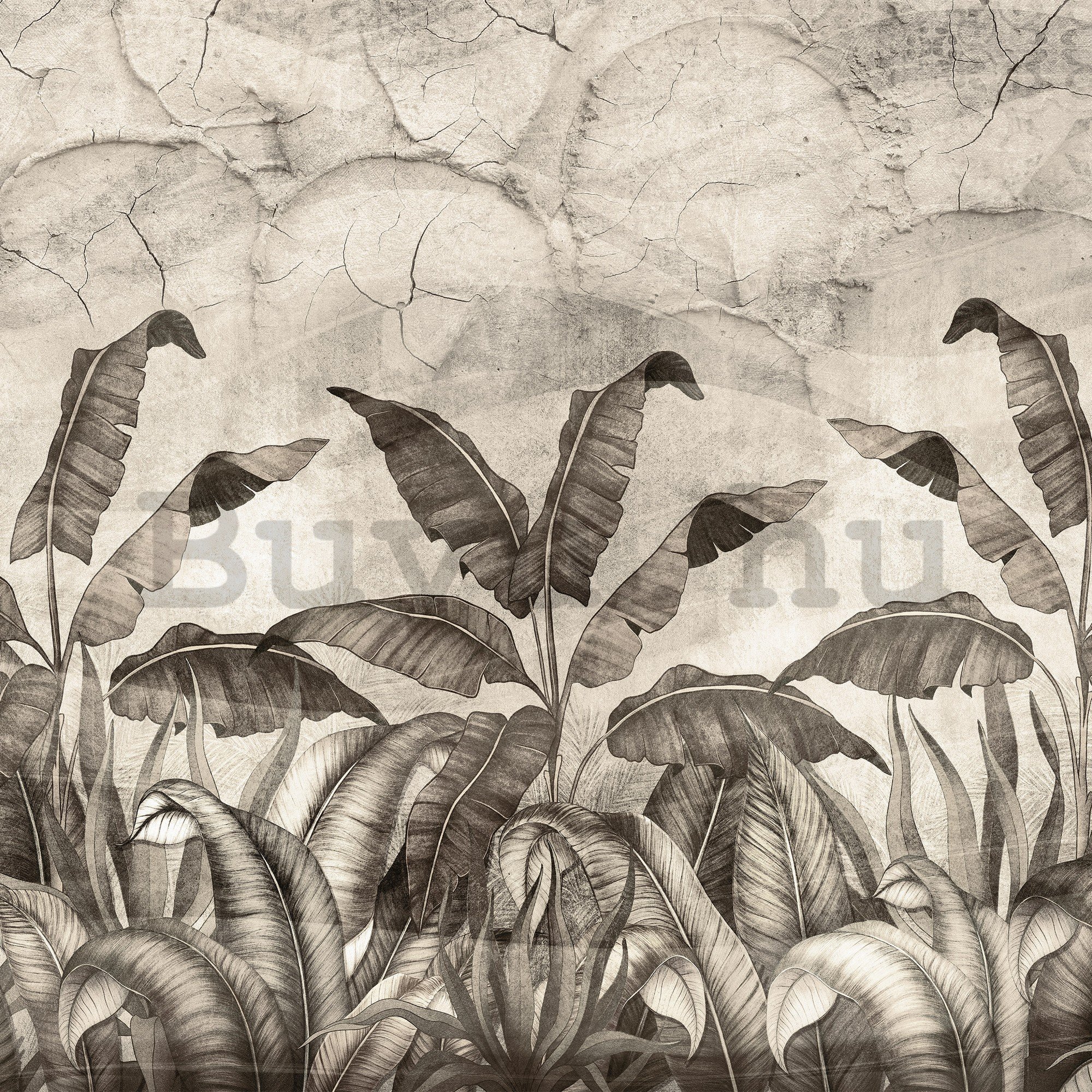 Vlies fotótapéta: Természetes levelek fekete-fehér utánzata - 416x254 cm