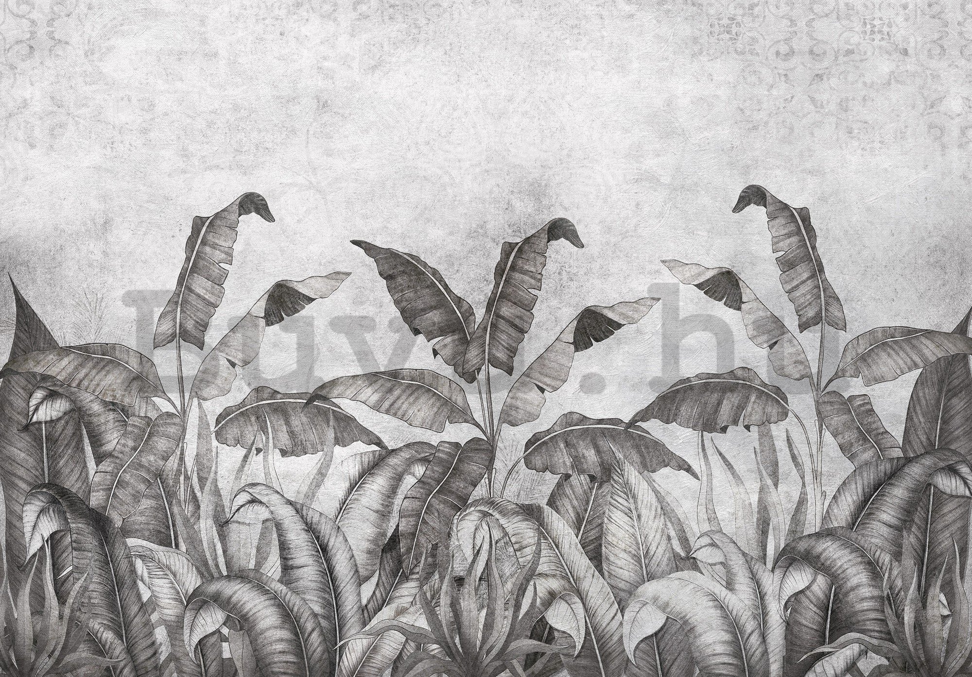 Vlies fotótapéta: Természetes levelek fekete-fehér utánzata (2) - 416x254 cm