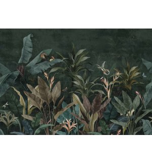 Vlies fotótapéta: Állatok a dzsungelben (Madarak és pillangók) - 254x184 cm