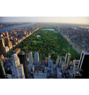 Vlies fotótapéta: New York Central Park - 254x184 cm