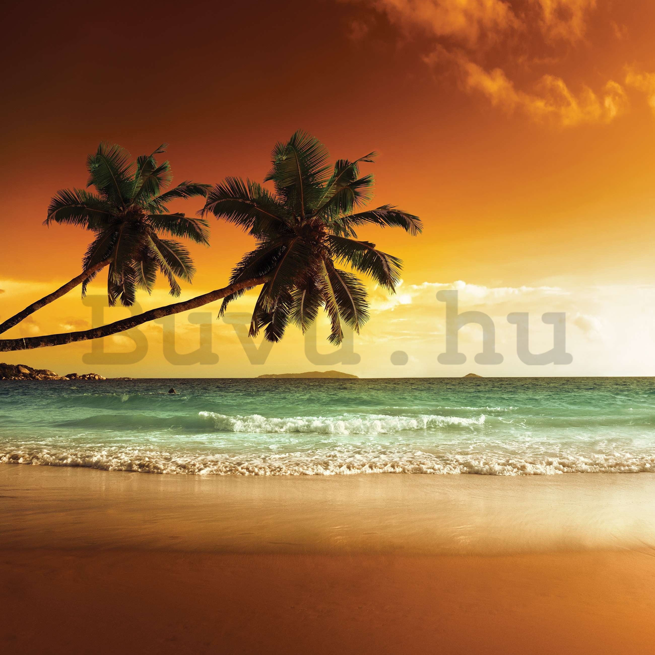 Vlies fotótapéta: Pálmafák és strand naplementében - 368x254 cm