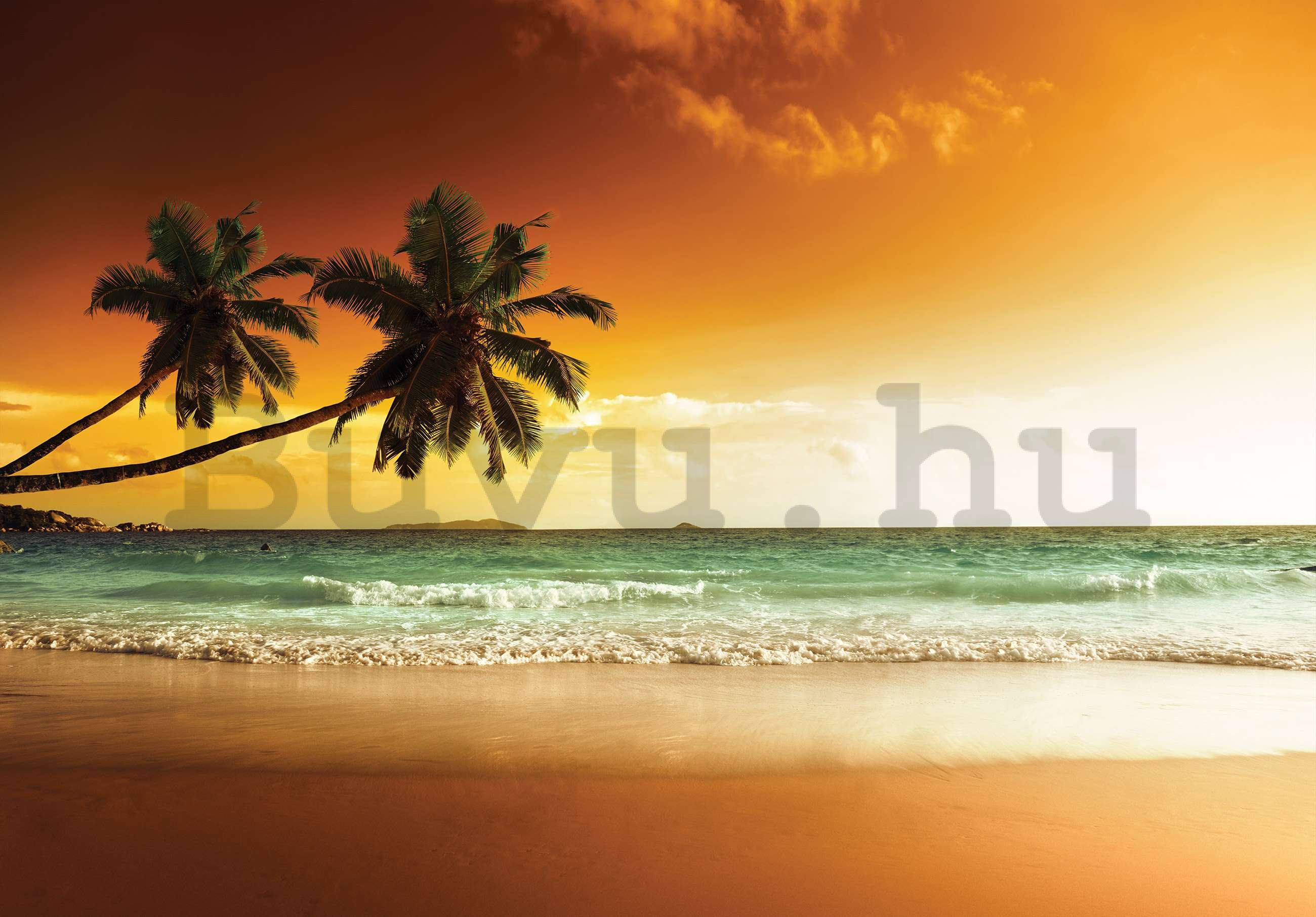 Vlies fotótapéta: Pálmafák és strand naplementében - 368x254 cm