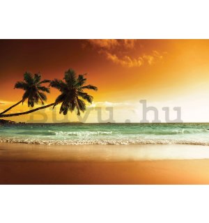 Vlies fotótapéta: Pálmafák és strand naplementében - 416x254 cm