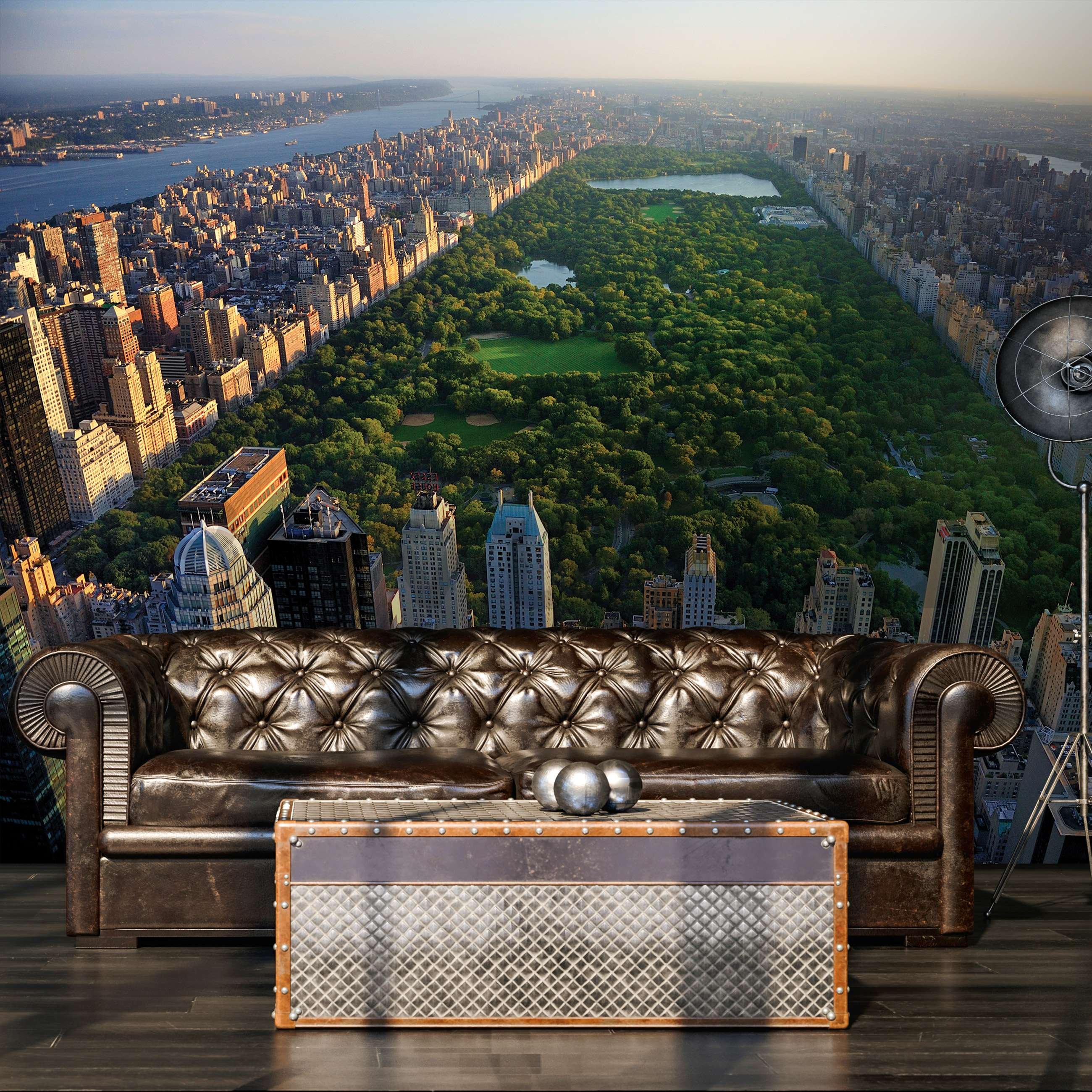 Vlies fotótapéta: New York Central Park - 416x254 cm