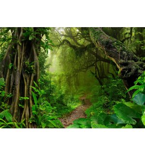 Vlies fotótapéta: Út az erdőben - 254x184 cm
