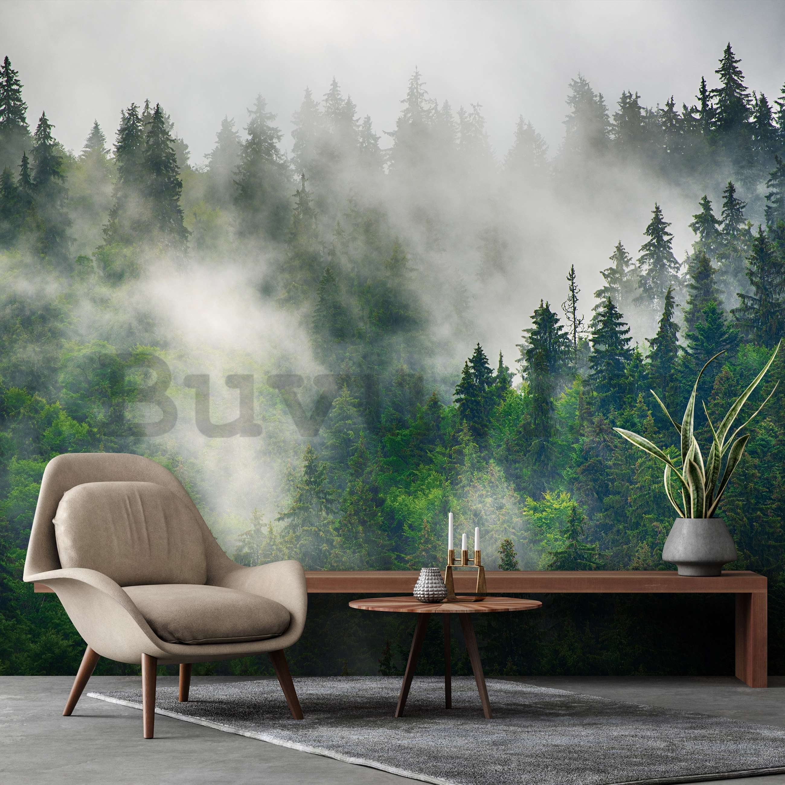Vlies fotótapéta: Köd az erdő felett (5) - 254x184 cm