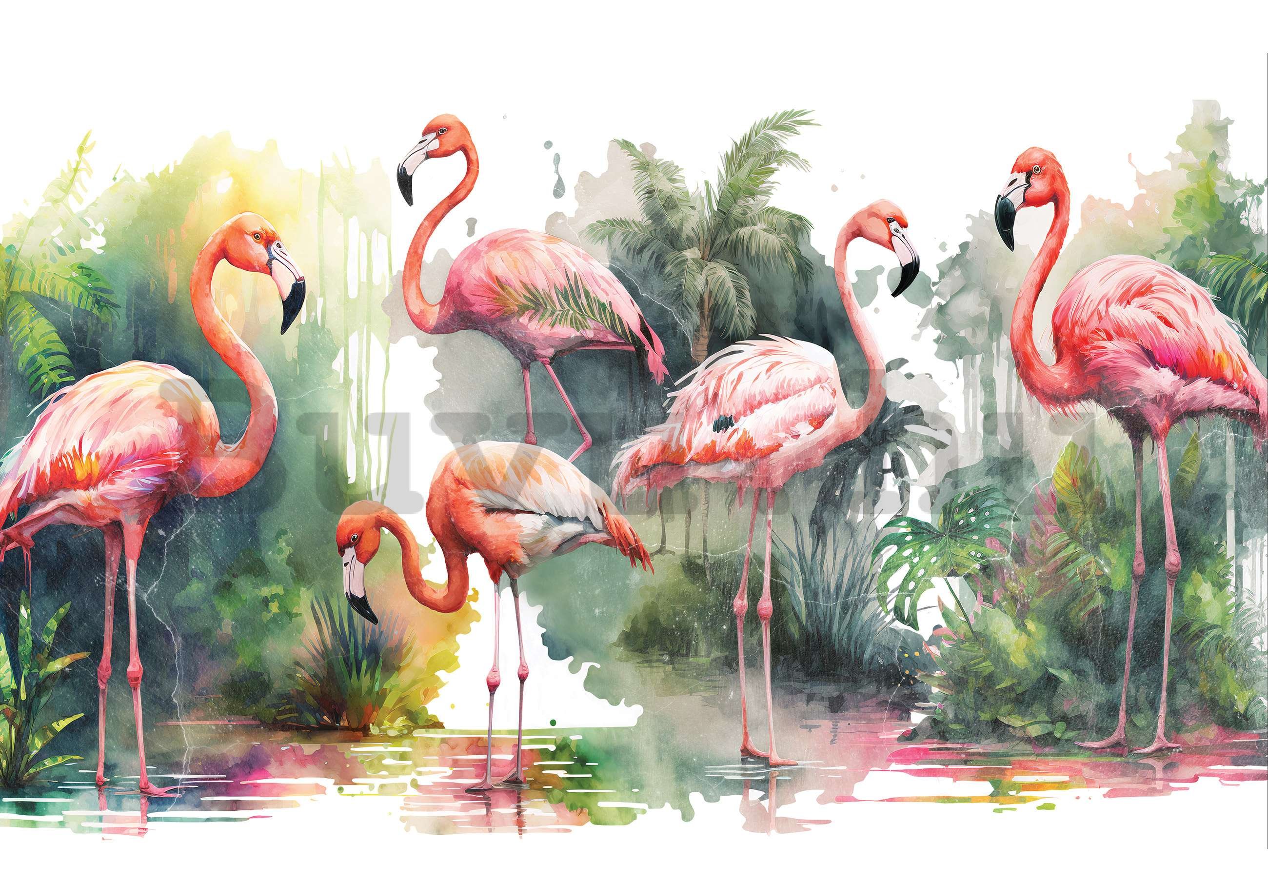 Vlies fotótapéta: Flamingók a természetben - 368x254 cm
