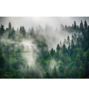 Vlies fotótapéta: Köd az erdő felett (5) - 368x254 cm