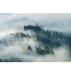 Vlies fotótapéta: Köd az erdő felett (4) - 416x254 cm