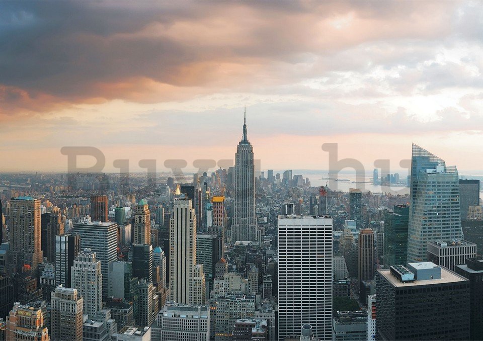 Fotótapéta: Manhattan - 184x254 cm