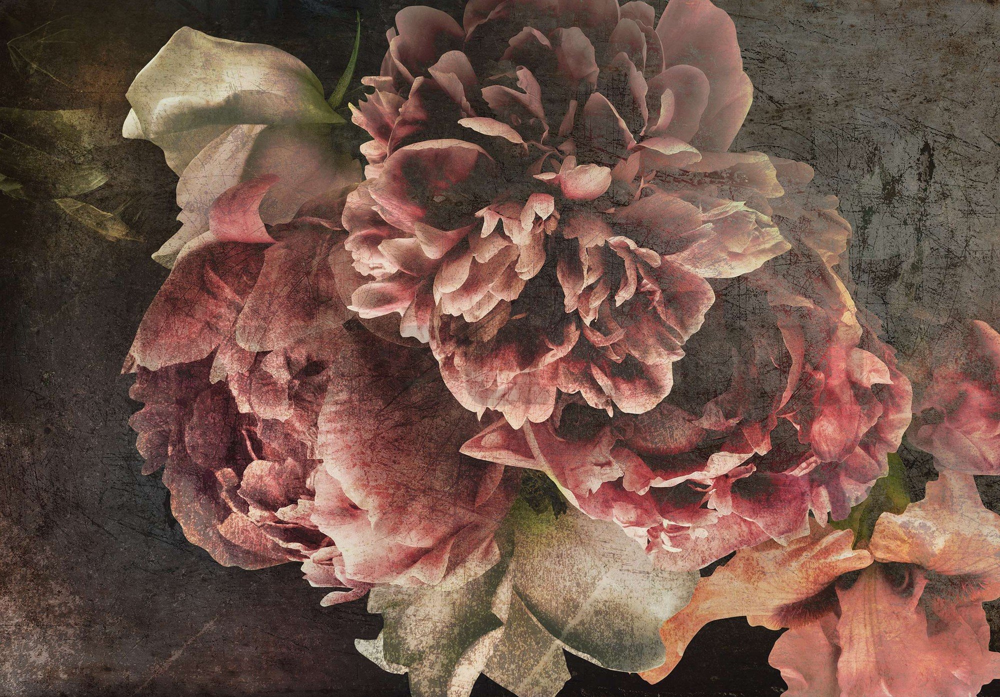Vlies fotótapéta: Bazsarózsa virágok - 254x184 cm