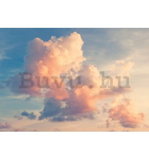 Vlies fotótapéta: Az ég elpirul - 254x184 cm