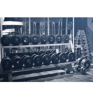 Vlies fotótapéta: Súlyzók az edzőteremben - 254x184 cm