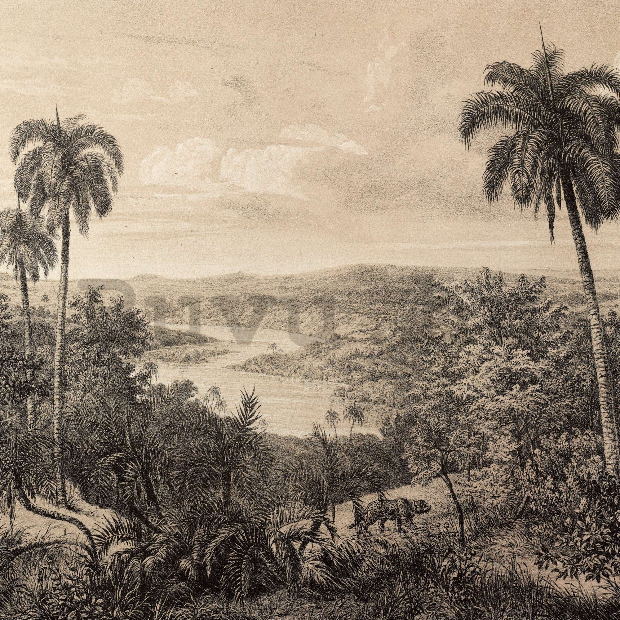Vlies fotótapéta: Amazonas folyó, litográfia - 254x184 cm