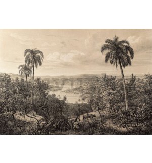 Vlies fotótapéta: Amazonas folyó, litográfia - 254x184 cm