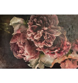 Vlies fotótapéta: Bazsarózsa virágok - 368x254 cm
