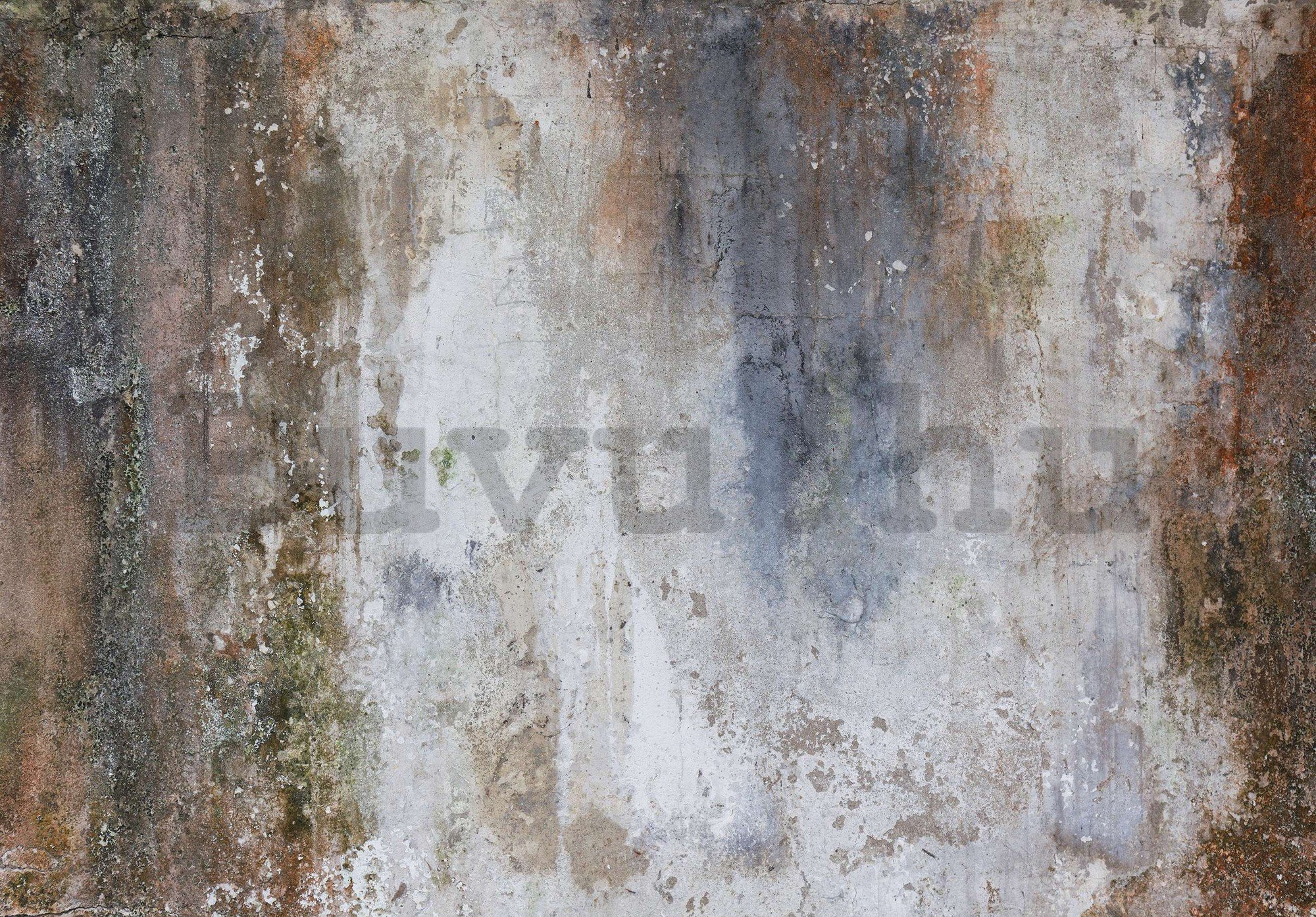 Vlies fotótapéta: Régi beton vakolat utánzata  - 368x254 cm