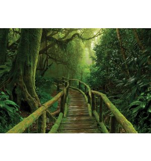 Vlies fotótapéta: Gyaloghíd a dzsungelben - 152,5x104 cm