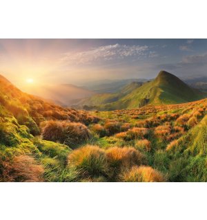 Vlies fotótapéta: Hegyi rét napfelkeltekor - 416x254 cm