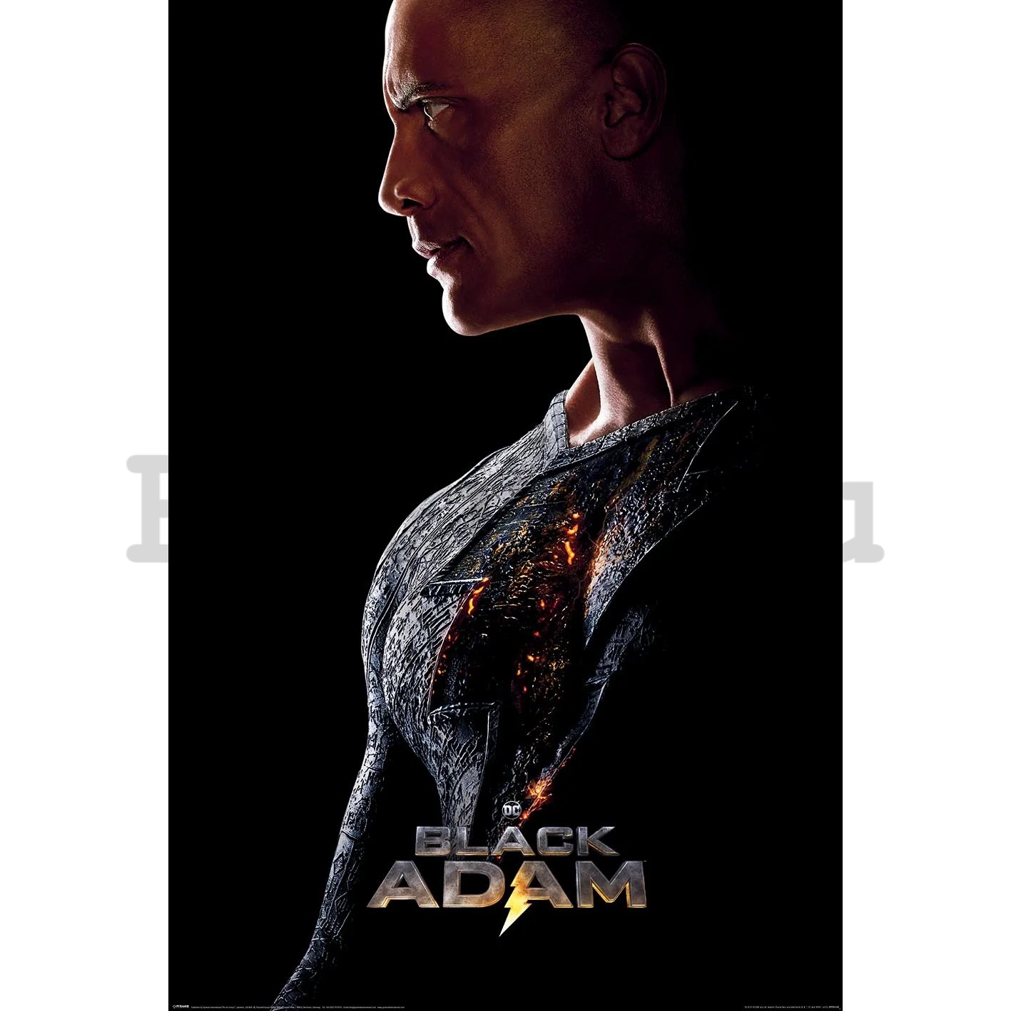 Poster - Black Adam (Held)