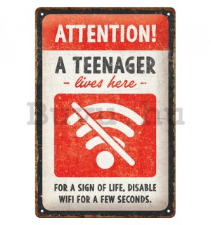 Fémtáblák: Teenager Wifi - 30x20 cm