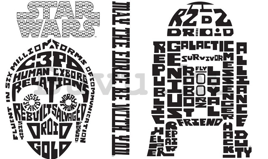 Falmatrica - Star Wars (C-3PO & R2-D2)