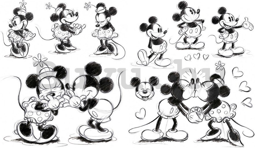 Falmatrica - Mickey and Minnie