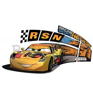 Falmatrica - Cars (Racing Sports Network)