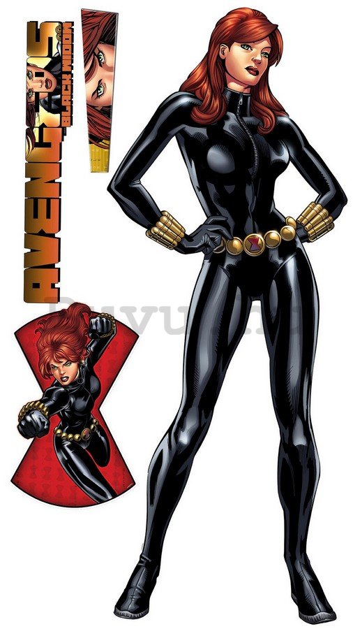 Falmatrica - Avengers Black Widow (2)