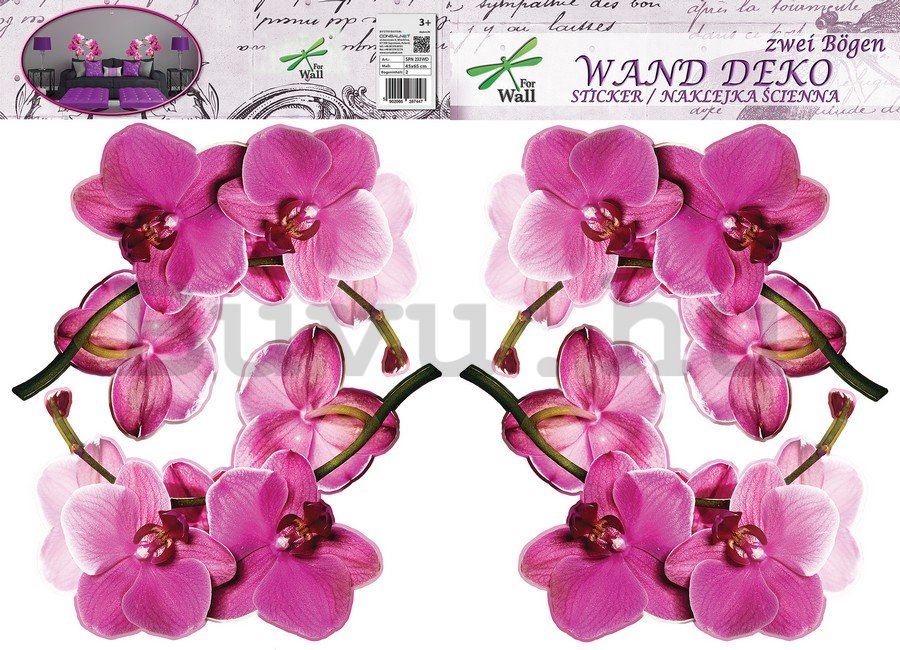 Falmatrica - Orchidea (1)