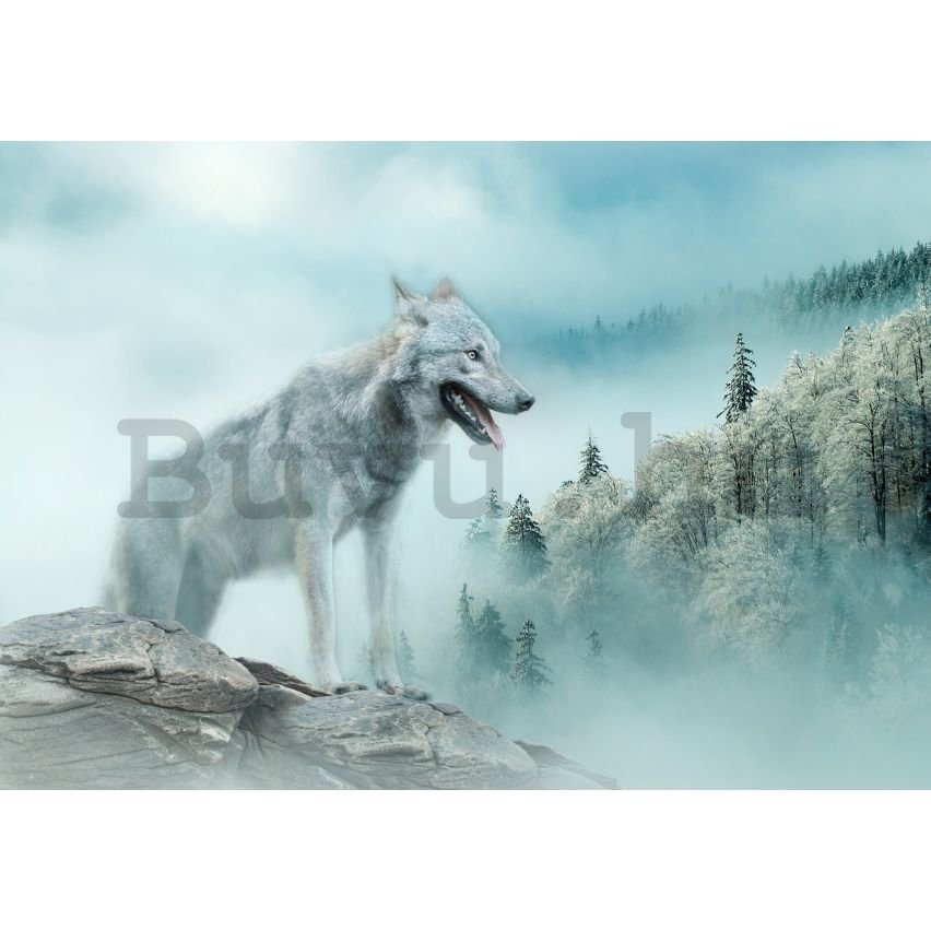 Vlies fotótapéta: Nature forest wolf snow - 254x184 cm