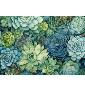 Vlies fotótapéta: Succulents - 254x184 cm
