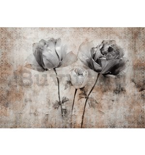 Vlies fotótapéta: Flowers Roses Structure (1) - 254x184 cm